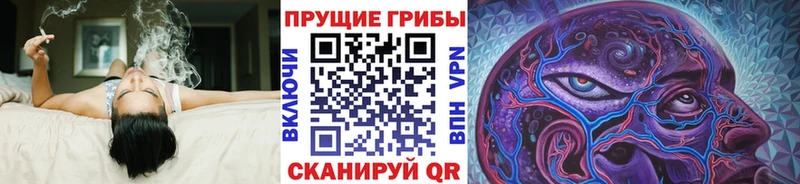 Псилоцибиновые грибы Cubensis  это клад  Изобильный 